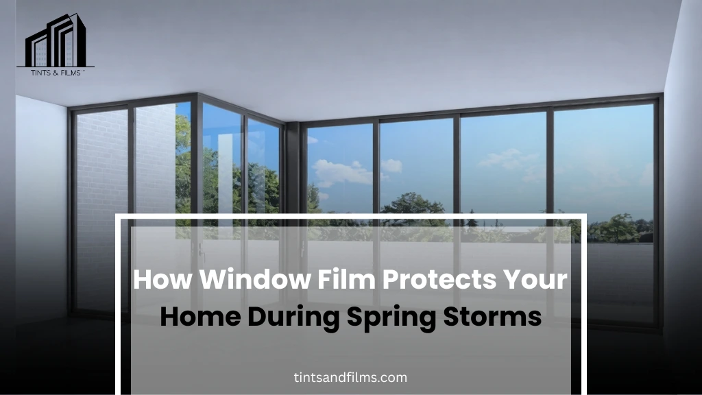 how window film Protects your Home